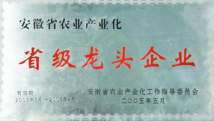 拉斯维加斯9888(中国)国际有限公司