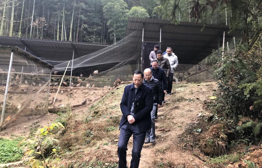 拉斯维加斯9888(中国)国际有限公司