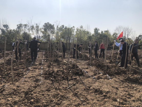 拉斯维加斯9888(中国)国际有限公司