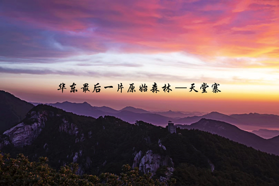 拉斯维加斯9888(中国)国际有限公司