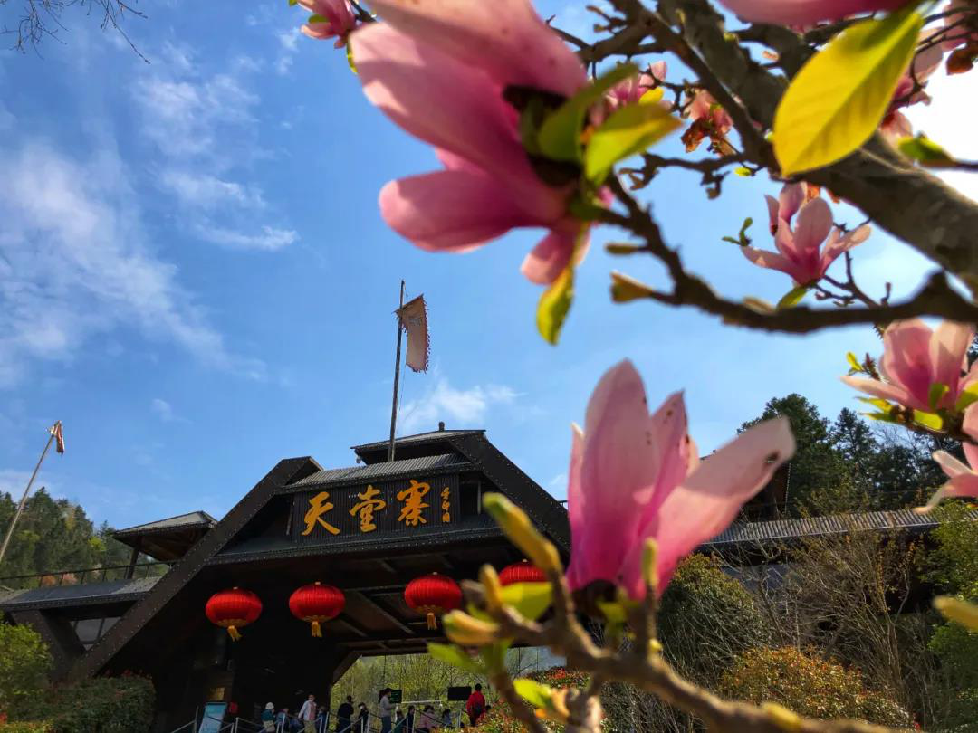 拉斯维加斯9888(中国)国际有限公司