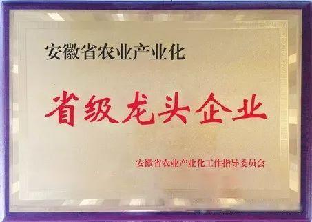 拉斯维加斯9888(中国)国际有限公司