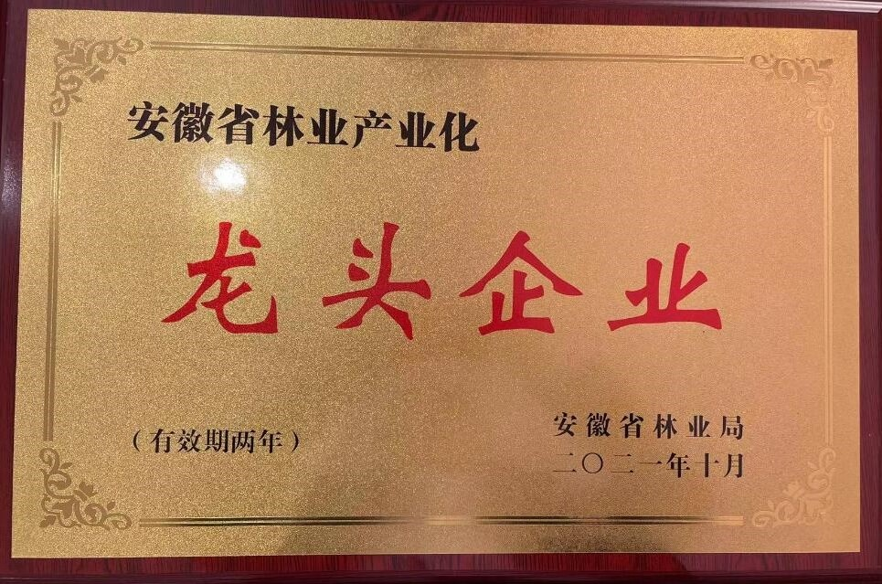 拉斯维加斯9888(中国)国际有限公司